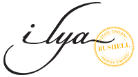 Ilya Vineyards - Adelaide Hills Wine