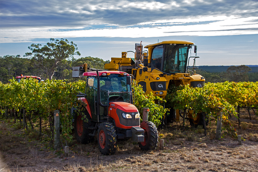 Harvest Time