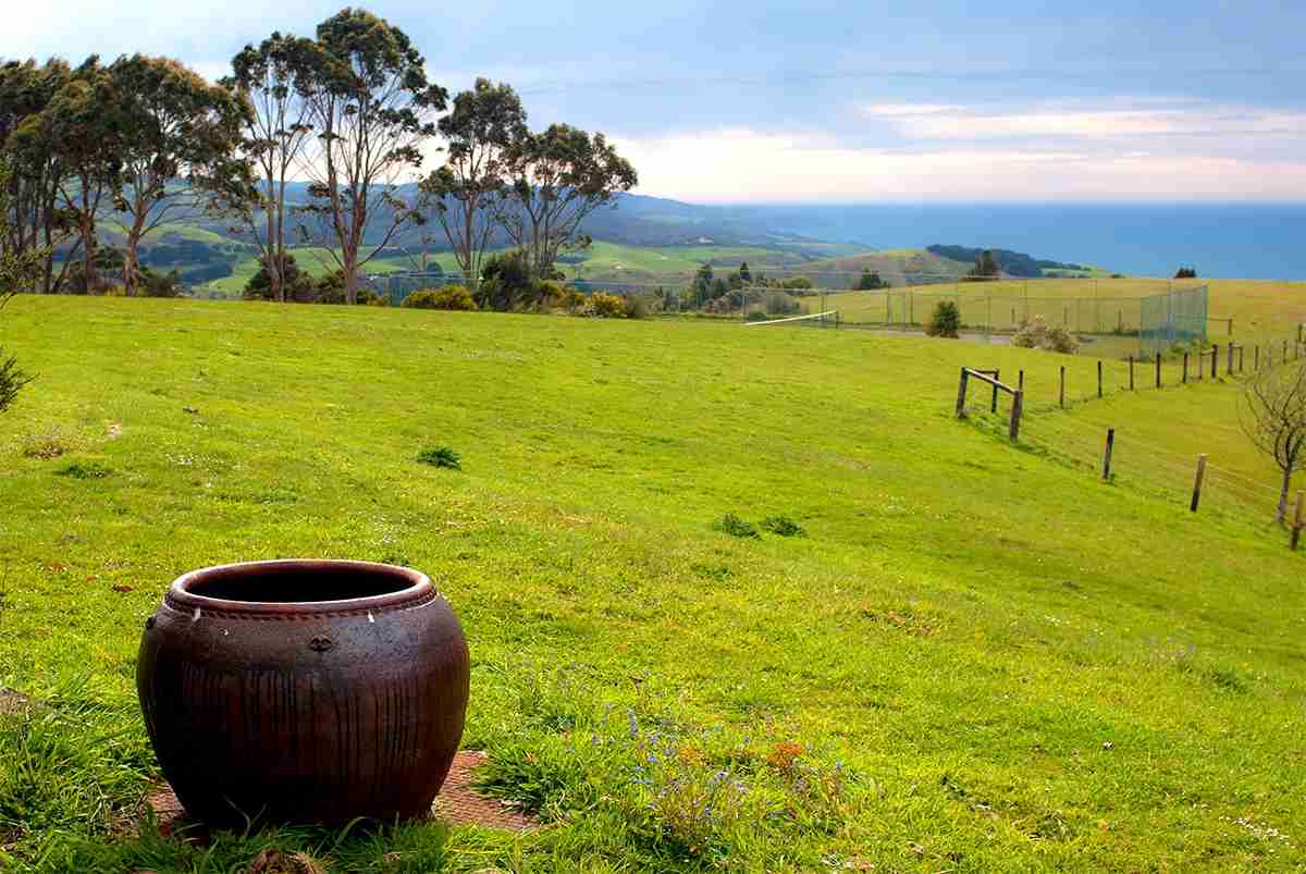 McLaren Vale Wine Region